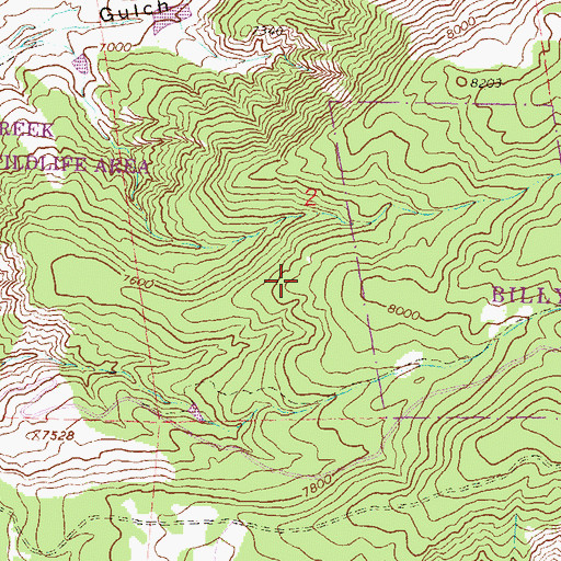 Topographic Map of Billy Creek State Wildlife Area, CO