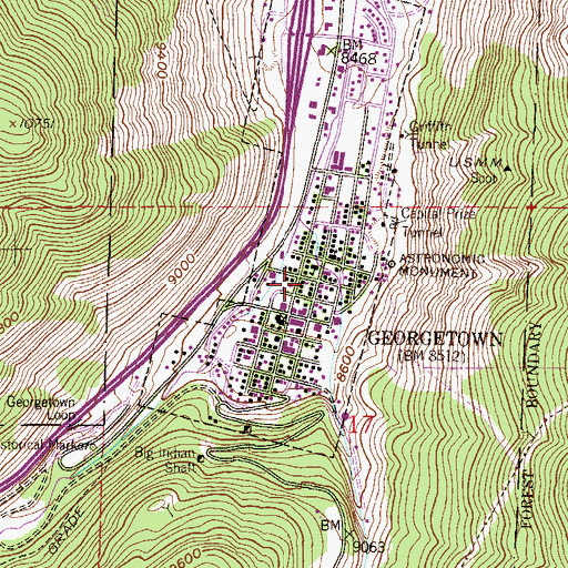 Topographic Map of Golden Gate Mine, CO