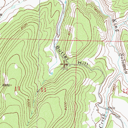 Topographic Map of Butter Hill, CO