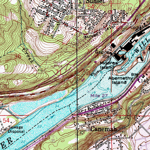 Topographic Map of Junction (historical), OR