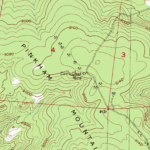 Topographic Map of Camp Creek Mine, CO