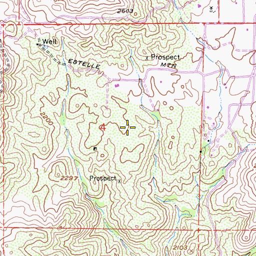 Topographic Map of Diamond L Ranch (historical), CA