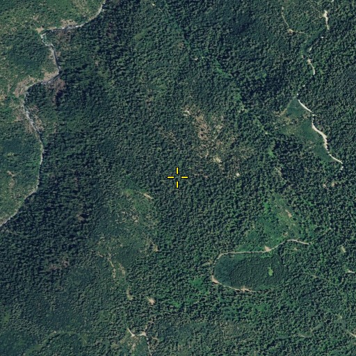Aerial/Satellite Image of McMahons (historical), CA