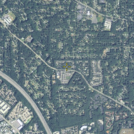 Aerial/Satellite Image of Salem Woods, GA
