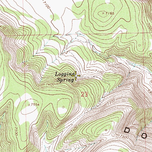 Topographic Map of Logging Spring, CO
