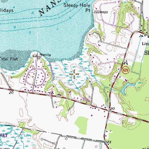 Topographic Map of Janes Swamp, VA