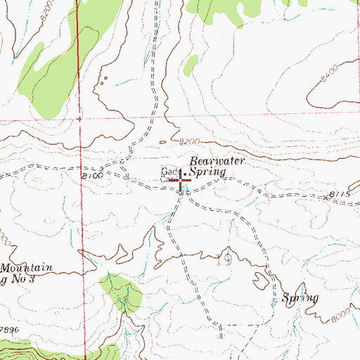 Topographic Map of Bearwater Spring, CO