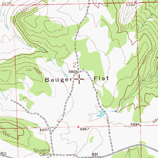 Topographic Map of Badger Flat, CO