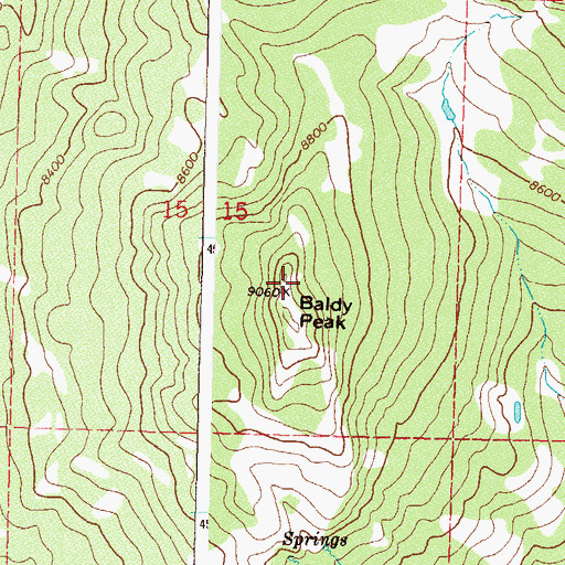 Topographic Map of Baldy Peak, CO