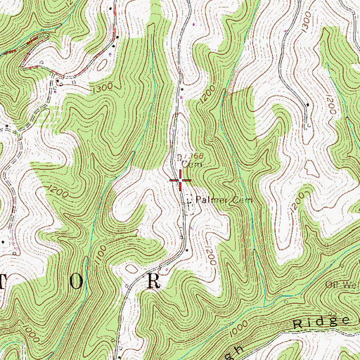 Topographic Map of Palmer Ridge, WV