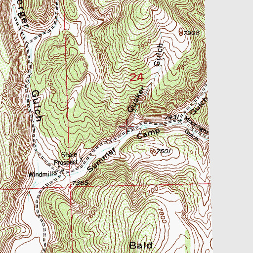 Topographic Map of Quaker Gulch, CO