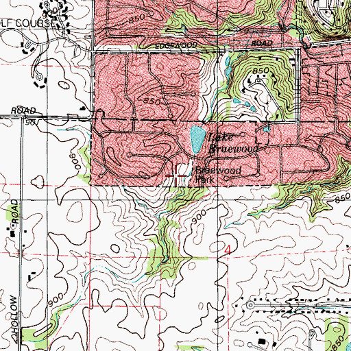 Topographic Map of Braewood Park, IL