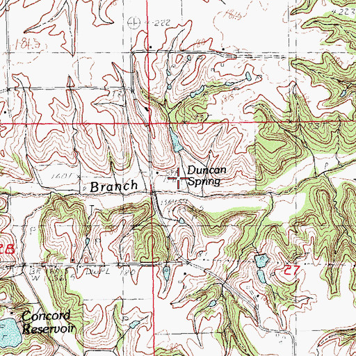 Topographic Map of Duncan Spring, IL