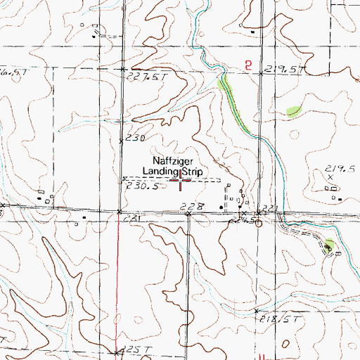 Topographic Map of Naffziger Landing Strip (historical), IL