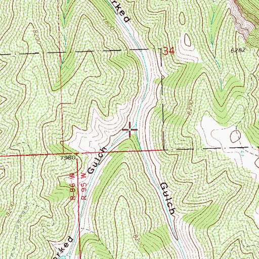Topographic Map of West Forked Gulch, CO