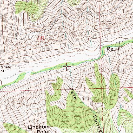 Topographic Map of Pete Spring Gulch, CO
