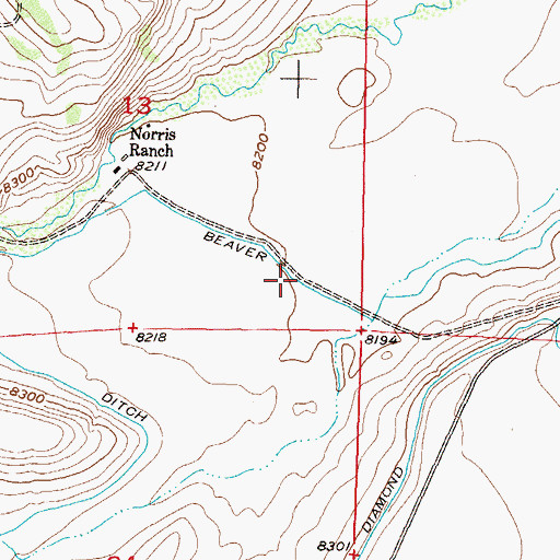 Topographic Map of Beaver Ditch, CO