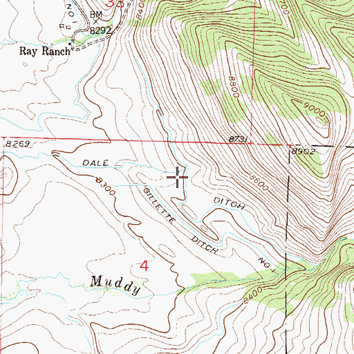 Topographic Map of Dale Ditch, CO