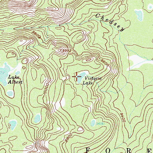 Topographic Map of Victoria Lake, CO
