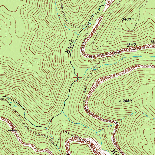 Topographic Map of Left Fork Back Fork Elk River, WV