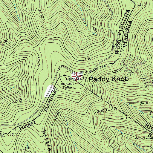 Topographic Map of Paddy Knob Lookout Tower, WV
