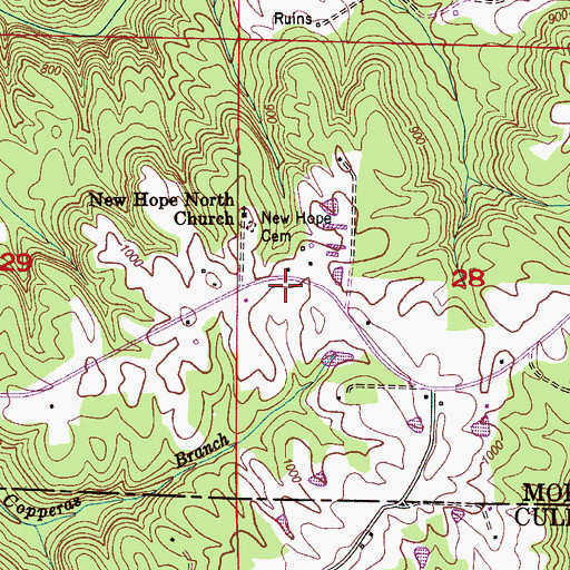 Topographic Map of New Hope, AL