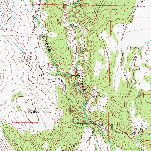 Topographic Map of Little Blacktail Creek, CO