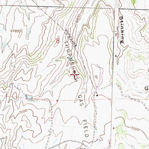 Topographic Map of Thornburgh Gas Field, CO