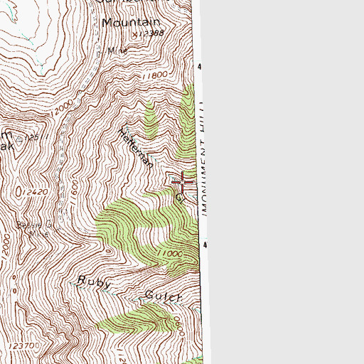 Topographic Map of Gold Wedge Mine, CO