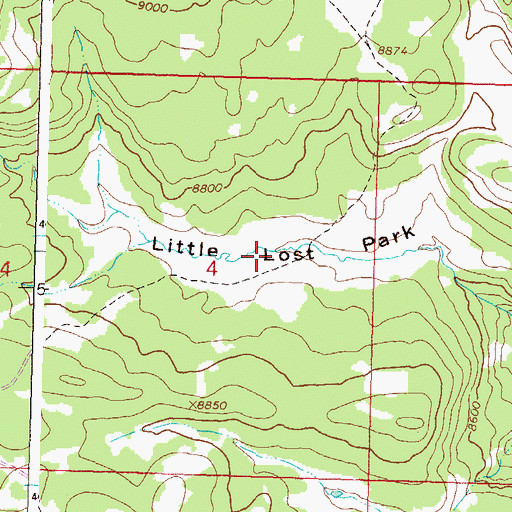 Topographic Map of Little Lost Park, CO