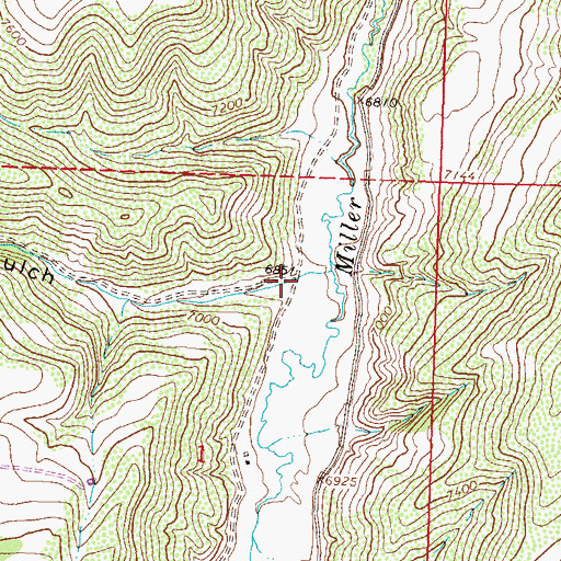 Topographic Map of Moog Gulch, CO