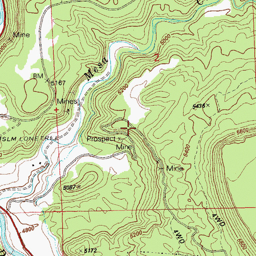Topographic Map of Long Shot Mine, CO