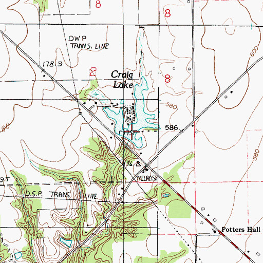 Topographic Map of Craig Lake, IL