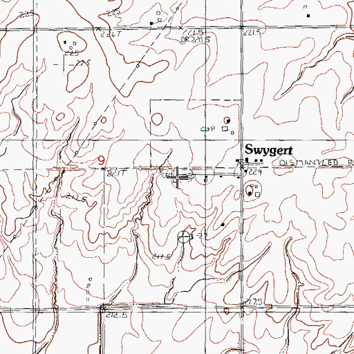 Topographic Map of Swygert Cemetery, IL