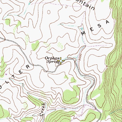 Topographic Map of Orphan Spring, CO
