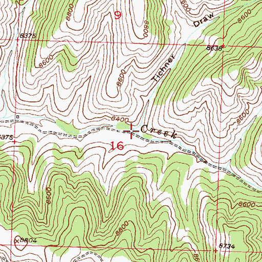 Topographic Map of Tichner Draw, CO
