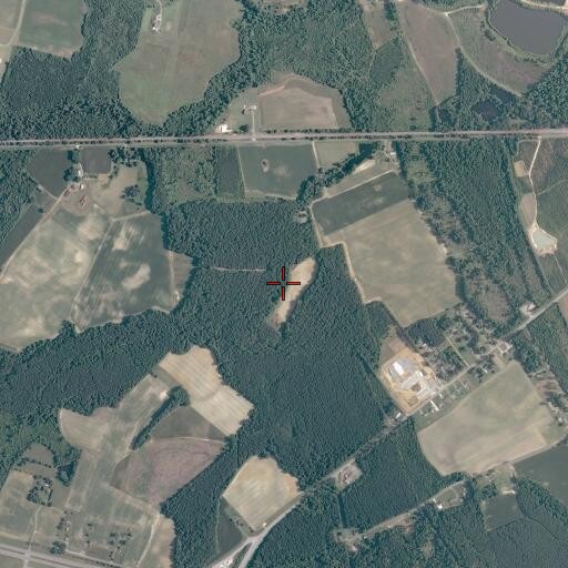 Aerial/Satellite Image of Whitehouse Swamp (historical), VA