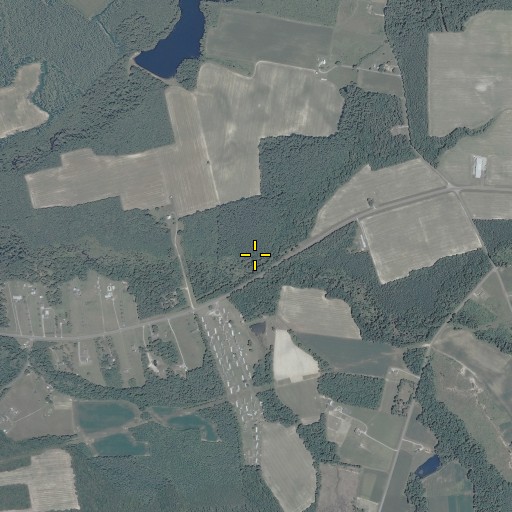 Aerial/Satellite Image of Bows and Arrows Swamp, VA