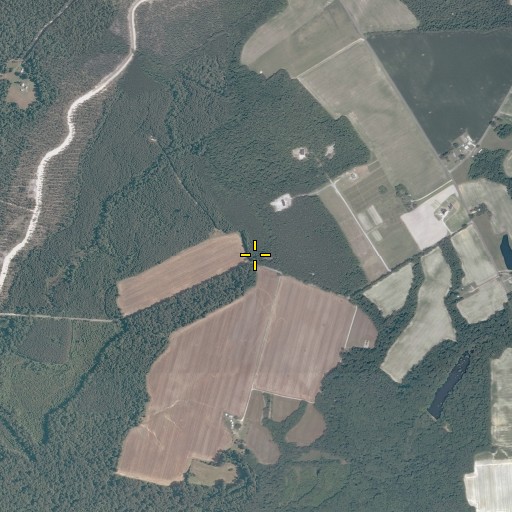 Aerial/Satellite Image of Cedar Grove School (historical), VA
