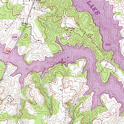Topographic Map of Buzzard Woods Point, VA