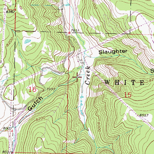 Topographic Map of Association Gulch, CO