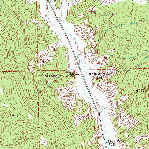 Topographic Map of Carbonera, CO
