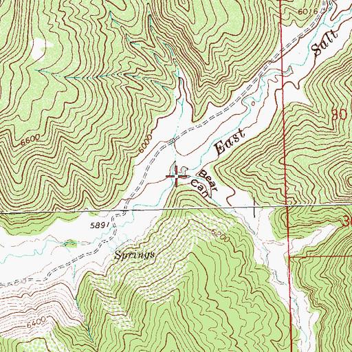 Topographic Map of Bear Canyon, CO