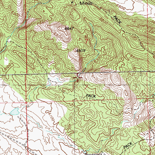 Topographic Map of Brown Mule Mine, CO