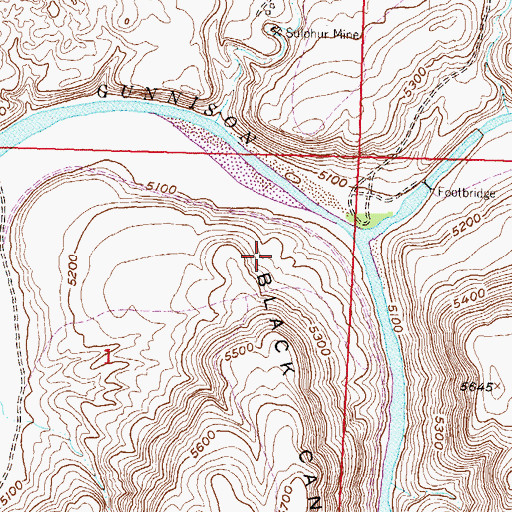 Topographic Map of Gunnison Forks Mine, CO