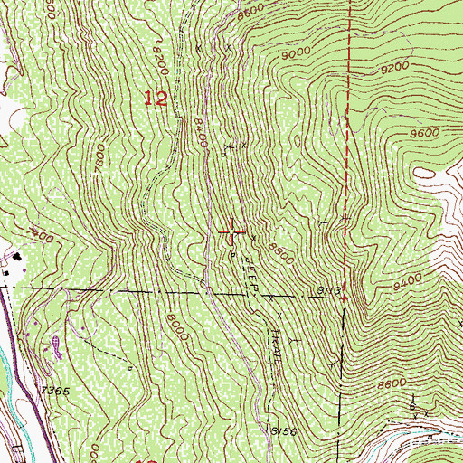 Topographic Map of News Boy Mine, CO