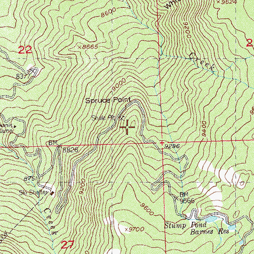 Topographic Map of Spruce Point, CO