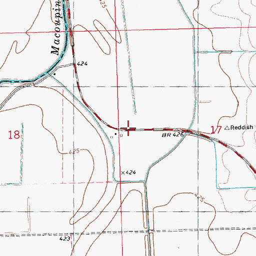 Topographic Map of Reddish, IL
