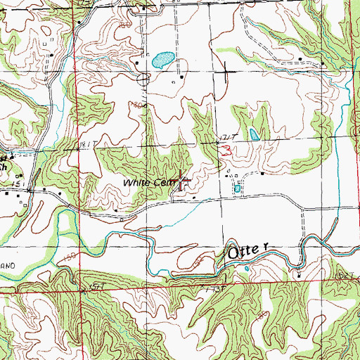 Topographic Map of White Cemetery, IL
