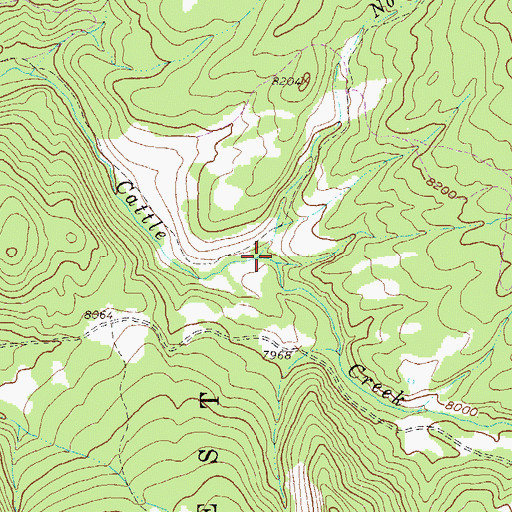 Topographic Map of North Fork Cattle Creek, CO